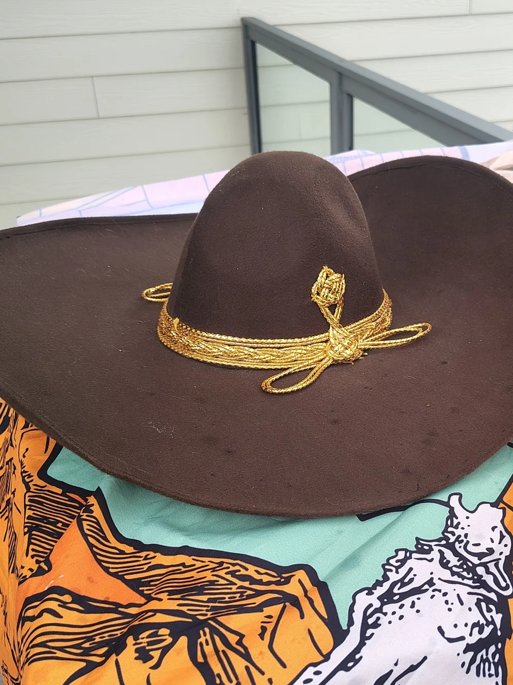 Brown Wide-Brim Felt Hat with Gold Braid